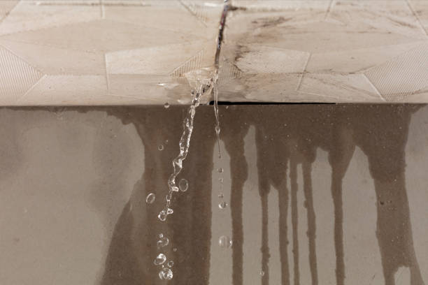 Professional Burst Pipe Cleanup technician working in Crete, IL